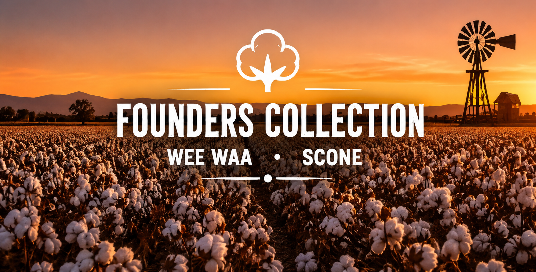 Foundation Collection